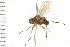  ( - 08BBDIP-0194)  @13 [ ] CreativeCommons - Attribution (2008) Unspecified Centre for Biodiversity Genomics