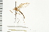  ( - 08BBDIP-0309)  @13 [ ] CreativeCommons - Attribution (2008) Unspecified Centre for Biodiversity Genomics