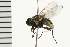  ( - 08BBDIP-0320)  @13 [ ] CreativeCommons - Attribution (2008) Unspecified Centre for Biodiversity Genomics