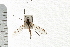  ( - 08BBDIP-0390)  @13 [ ] CreativeCommons - Attribution (2008) Unspecified Centre for Biodiversity Genomics