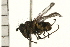  ( - 08BBDIP-0410)  @13 [ ] CreativeCommons - Attribution (2008) Unspecified Centre for Biodiversity Genomics