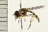  ( - 08BBDIP-0474)  @13 [ ] CreativeCommons - Attribution (2008) Unspecified Centre for Biodiversity Genomics