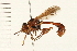  ( - 08BBDIP-0520)  @12 [ ] CreativeCommons - Attribution (2008) Unspecified Centre for Biodiversity Genomics