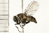  ( - 08BBDIP-1190)  @13 [ ] CreativeCommons - Attribution (2008) Unspecified Centre for Biodiversity Genomics