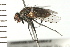  ( - 08BBDIP-0854)  @13 [ ] CreativeCommons - Attribution (2008) Unspecified Centre for Biodiversity Genomics