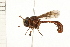  ( - 08BBDIP-1246)  @13 [ ] CreativeCommons - Attribution (2008) Unspecified Centre for Biodiversity Genomics