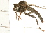  ( - 08BBDIP-1257)  @12 [ ] CreativeCommons - Attribution (2008) Unspecified Centre for Biodiversity Genomics