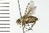  ( - 08BBDIP-0896)  @13 [ ] CreativeCommons - Attribution (2008) Unspecified Centre for Biodiversity Genomics