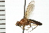  ( - 08BBDIP-0925)  @13 [ ] CreativeCommons - Attribution (2008) Unspecified Centre for Biodiversity Genomics