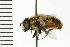  ( - 08BBDIP-0977)  @13 [ ] CreativeCommons - Attribution (2008) Unspecified Centre for Biodiversity Genomics