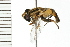  ( - 08BBDIP-0980)  @13 [ ] CreativeCommons - Attribution (2008) Unspecified Centre for Biodiversity Genomics