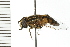  ( - 08BBDIP-0982)  @13 [ ] CreativeCommons - Attribution (2008) Unspecified Centre for Biodiversity Genomics