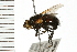  ( - 08BBDIP-1023)  @12 [ ] CreativeCommons - Attribution (2008) Unspecified Centre for Biodiversity Genomics