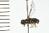  ( - 08BBDIP-1059)  @12 [ ] CreativeCommons - Attribution (2008) Unspecified Centre for Biodiversity Genomics