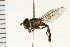  ( - 08BBDIP-1306)  @12 [ ] CreativeCommons - Attribution (2008) Unspecified Centre for Biodiversity Genomics