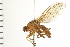  ( - 08BBDIP-1408)  @13 [ ] CreativeCommons - Attribution (2008) Unspecified Centre for Biodiversity Genomics