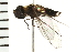 ( - 08BBDIP-1415)  @12 [ ] CreativeCommons - Attribution (2008) Unspecified Centre for Biodiversity Genomics