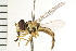  ( - 08BBDIP-1416)  @13 [ ] CreativeCommons - Attribution (2008) Unspecified Centre for Biodiversity Genomics