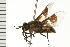  ( - 08BBDIP-1477)  @13 [ ] CreativeCommons - Attribution (2008) Unspecified Centre for Biodiversity Genomics