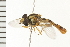  ( - 08BBDIP-1581)  @13 [ ] CreativeCommons - Attribution (2008) Unspecified Centre for Biodiversity Genomics