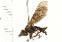  ( - 08BBDIP-1768)  @12 [ ] CreativeCommons - Attribution (2009) Unspecified Centre for Biodiversity Genomics
