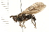  ( - 08BBDIP-1769)  @13 [ ] CreativeCommons - Attribution (2009) Unspecified Centre for Biodiversity Genomics