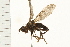 ( - 08BBDIP-1770)  @13 [ ] CreativeCommons - Attribution (2009) Unspecified Centre for Biodiversity Genomics