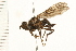  ( - 08BBDIP-1771)  @13 [ ] CreativeCommons - Attribution (2009) Unspecified Centre for Biodiversity Genomics