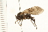  ( - 08BBDIP-1773)  @12 [ ] CreativeCommons - Attribution (2009) Unspecified Centre for Biodiversity Genomics