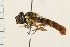  ( - 08BBDIP-1775)  @13 [ ] CreativeCommons - Attribution (2009) Unspecified Centre for Biodiversity Genomics