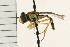  ( - 08MZPP-096)  @13 [ ] CreativeCommons - Attribution (2009) Unspecified Centre for Biodiversity Genomics