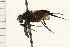  ( - 08MZPP-101)  @13 [ ] CreativeCommons - Attribution (2009) Unspecified Centre for Biodiversity Genomics