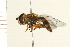  ( - 08BBDIP-1741)  @14 [ ] CreativeCommons - Attribution (2009) Unspecified Centre for Biodiversity Genomics