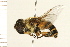  ( - 08BBDIP-1742)  @14 [ ] CreativeCommons - Attribution (2009) Unspecified Centre for Biodiversity Genomics