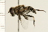  ( - 08BBDIP-1745)  @14 [ ] CreativeCommons - Attribution (2009) Unspecified Centre for Biodiversity Genomics