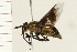  ( - 08BBDIP-1754)  @13 [ ] CreativeCommons - Attribution (2009) Unspecified Centre for Biodiversity Genomics