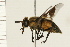  ( - 08BBDIP-1755)  @13 [ ] CreativeCommons - Attribution (2009) Unspecified Centre for Biodiversity Genomics