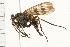  ( - 08BBDIP-1795)  @13 [ ] CreativeCommons - Attribution (2009) Unspecified Centre for Biodiversity Genomics
