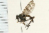  ( - 08BBDIP-1797)  @13 [ ] CreativeCommons - Attribution (2009) Unspecified Centre for Biodiversity Genomics