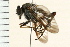  ( - 08BBDIP-1799)  @13 [ ] CreativeCommons - Attribution (2009) Unspecified Centre for Biodiversity Genomics