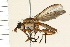  ( - 08BBDIP-1804)  @14 [ ] CreativeCommons - Attribution (2009) Unspecified Centre for Biodiversity Genomics