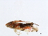  ( - BIOUG00771-B01)  @13 [ ] CreativeCommons - Attribution (2011) CBG Photography Group Centre for Biodiversity Genomics