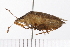  ( - WG-MISC-077)  @11 [ ] CreativeCommons - Attribution (2009) Unspecified Centre for Biodiversity Genomics