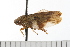  ( - HEMI 0001.02)  @13 [ ] CreativeCommons - Attribution (2008) Unspecified Centre for Biodiversity Genomics