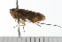  ( - HEMI 0071.02)  @13 [ ] CreativeCommons - Attribution (2008) Unspecified Centre for Biodiversity Genomics