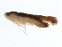  ( - BIOUG00771-C12)  @13 [ ] CreativeCommons - Attribution (2011) CBG Photography Group Centre for Biodiversity Genomics
