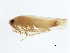  ( - BIOUG00771-G09)  @13 [ ] CreativeCommons - Attribution (2011) CBG Photography Group Centre for Biodiversity Genomics