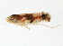  ( - BIOUG00856-F10)  @13 [ ] CreativeCommons - Attribution (2011) CBG Photography Group Centre for Biodiversity Genomics