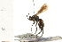  ( - LP00496)  @11 [ ] CreativeCommons - Attribution (2009) Unspecified Centre for Biodiversity Genomics