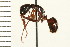  ( - LP00220)  @12 [ ] CreativeCommons - Attribution (2009) Unspecified Centre for Biodiversity Genomics